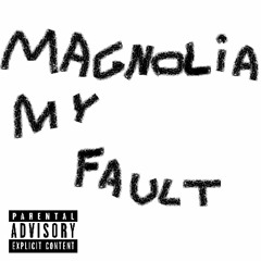 NhiteWigga, RaveDj, Zara Larsson & Playboi Carti - Magnolia my fault