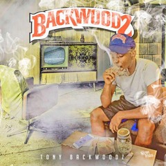 Mr Backwoods