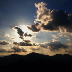 Schön Elektrophorisch