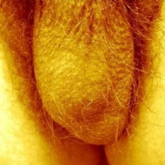 To nøtter til Askepott