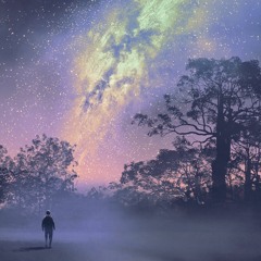 Plain of the Orchids