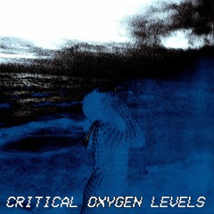 SHIKIMO X MNTVN - Critical Oxygen Levels