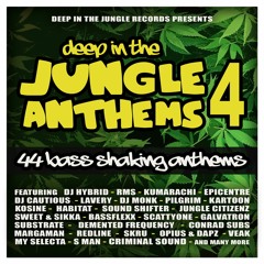 Demented Frequency - Amens On The Nile