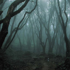 Saria's Song (TLOZ: OOT Cover)