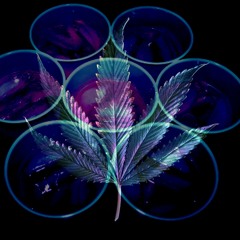 Dubai Shit Remix (Huncho Jack) - Gas Or Lean (feat. RaAhJ, Starr, YR Wayne, B1)