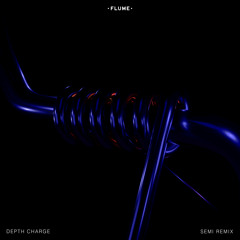 Flume - Depth Charge (Akkai Remix)