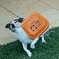 NIÑA OUTSIDERS COVER