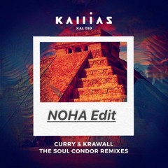 The Soul Condor- Curry & Krawall (NOHA Edit)