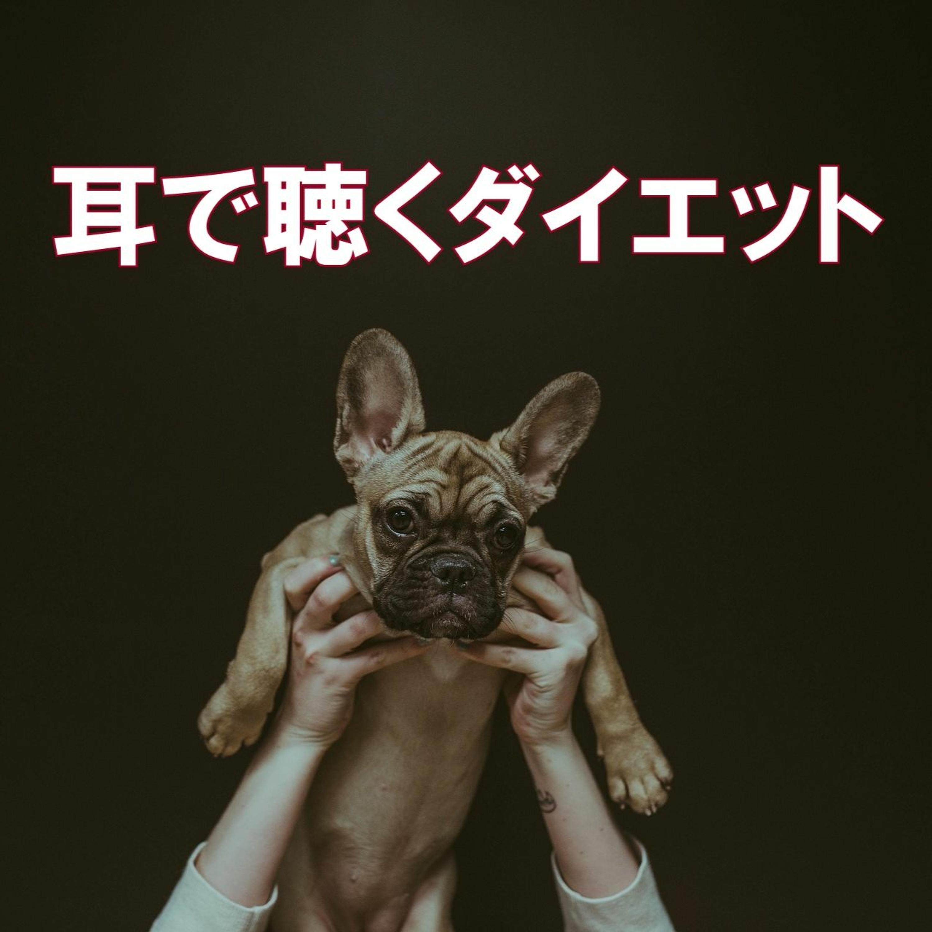 第3回 正月太りの防ぎ方!