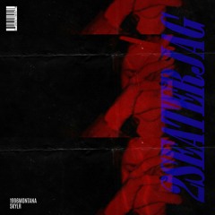 2SEATERJAG feat. 1996Montana (prod. by skylr)