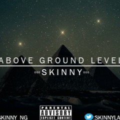 AGL - SKINNY