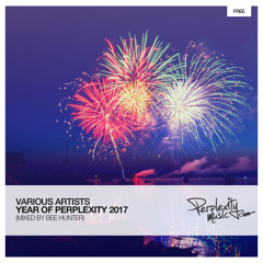 Year of Perplexity 2017 - mixed by Bee Hunter