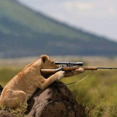 Heart chill ambient lounge deep house trance