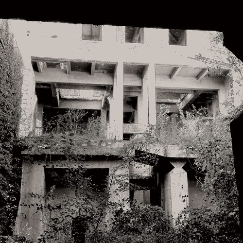 RSZ - Untouchable Serenity