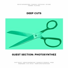 Guest Section: Photosynthez