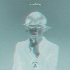 SEVENTEEN Mixtape Vol.15 - 'The real thing' (DINO)