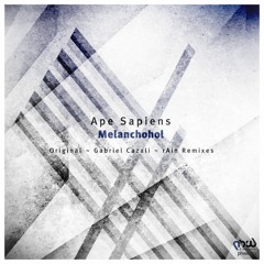 Ape Sapiens - Melanchohol (rAin Remix) [PHWE173]