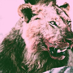 DANGERUZ [PROD. by THUNDAA]