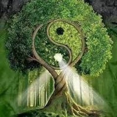 YINYANG