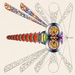 Overjoy - Dragonfly (Travis Emmons Remix)