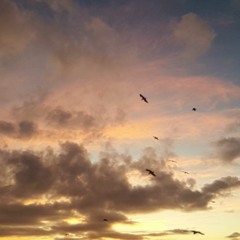 Meditation Mantra Trance 2018