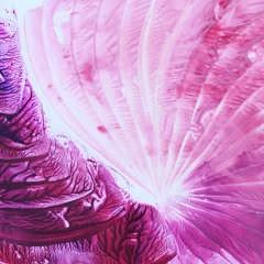 Rapidot Secrets Female