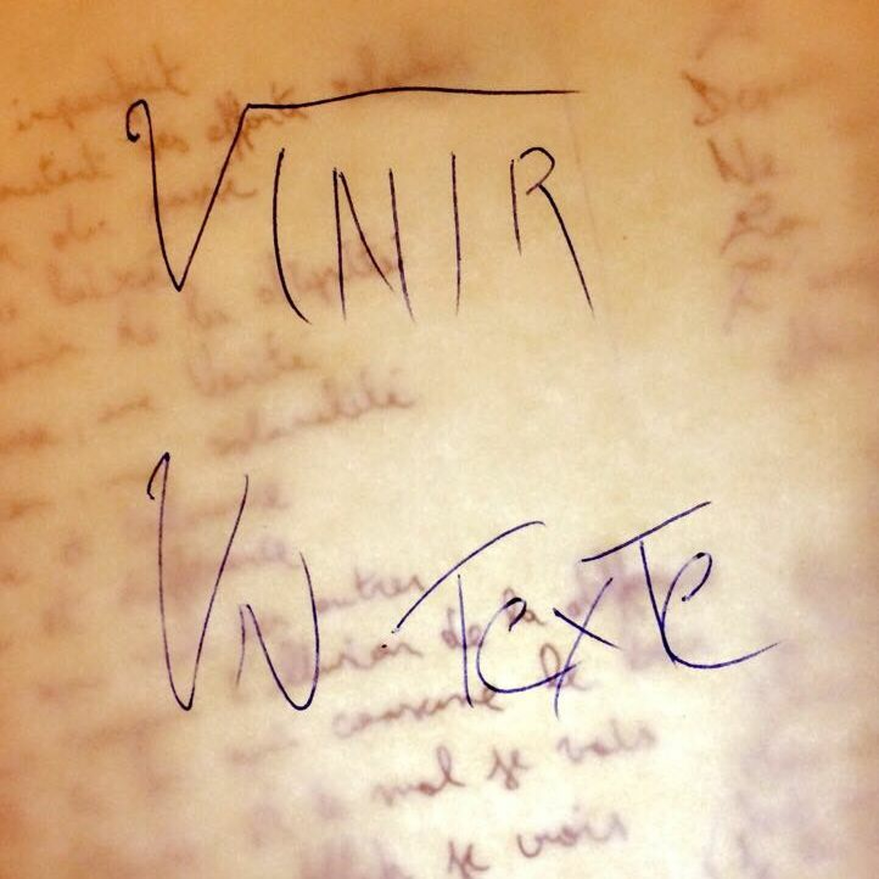 Vinir - Un Texte