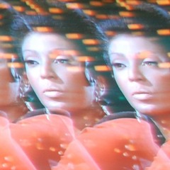 persian dolphin - 30thirty