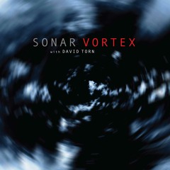 Sonar w. David Torn - Waves And Particles