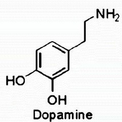 dopamine