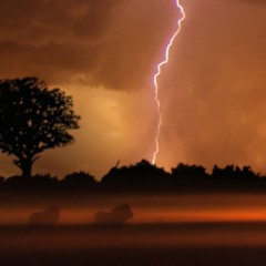 STORM IN AFRICA 3 cover