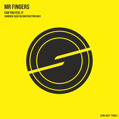 Mr Fingers - Can You Feel It   - (Andrew Cash Vocal  Re - Construction Mix)