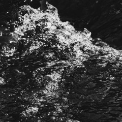SPLASH