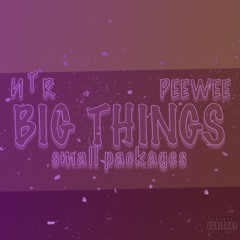 Big Things Small Packages (B.T.S.P.) (feat. Peewee)[Prod. Pizza Land]
