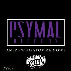 Amir - Who Stop Me Now  (Brandon Saena Remix) (Free Download)