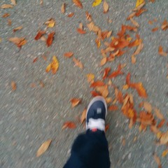 SHMOFF WAFFLE (PT. 2 OUTRO)