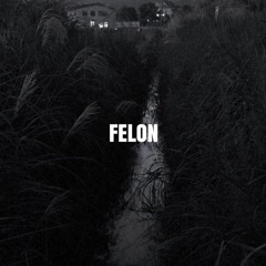 FELON