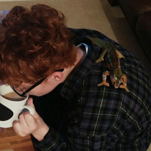 Cavetown || Conan Gray - I Know a Place (Ukulele cover)