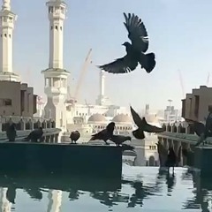 كم في قلبك من قرآن 💓