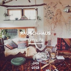 Rauschhaus | Detox 24 | Jan 2018