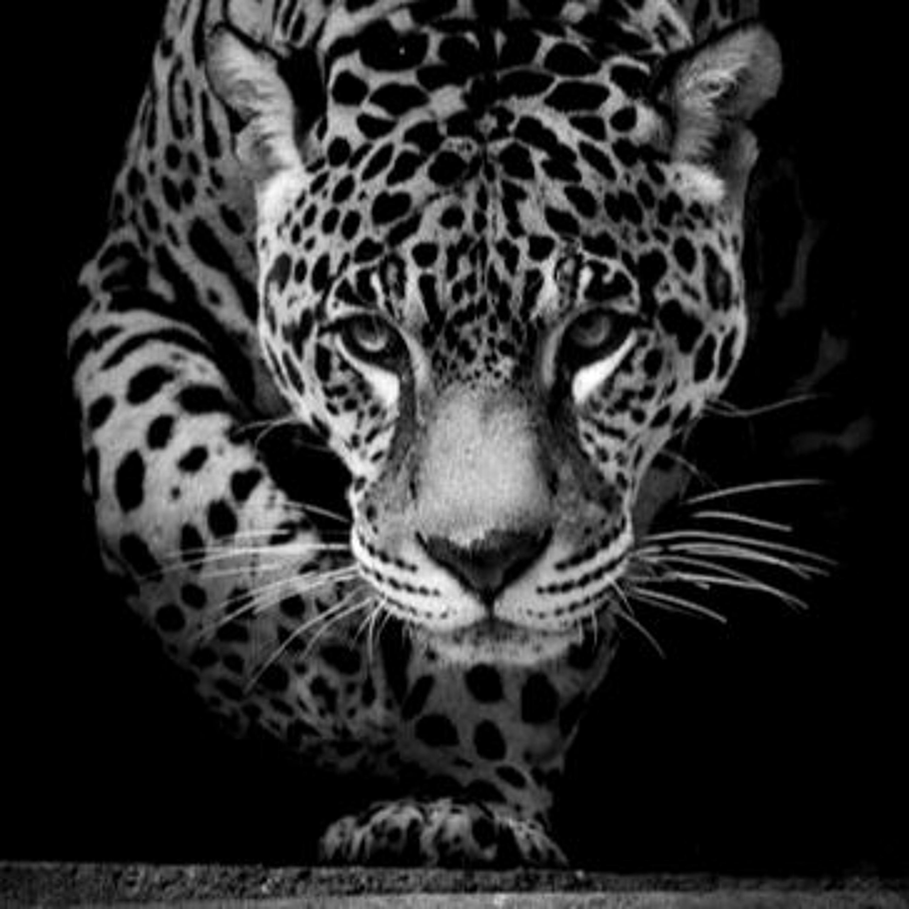 Kashmir episode artwork