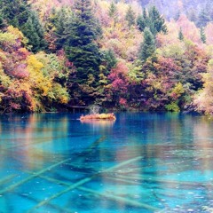 Spring, Summer, Fall, Winter And The Spring