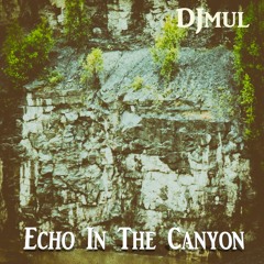 Echo In The Canyon