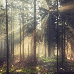 inverse element - every end is a new beginning