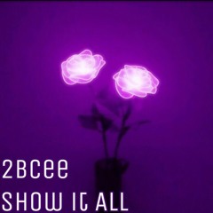 2bCee - Show It All
