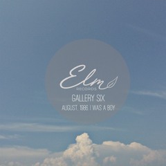 03.  Gallery Six -Sea Turtle