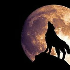 [MR] WOLVES - [DBM2 VOL.2] 2018.mp3