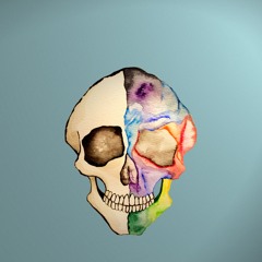 The Ballad Of Our Local Phonies