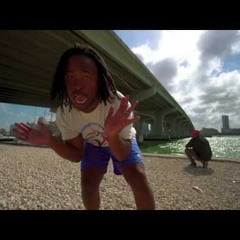 nobigdyl. ft Marty of Social Club Misfits - Shakira