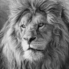 Called Apon. Seismic & Superb Wonder beat by. Phatnumber